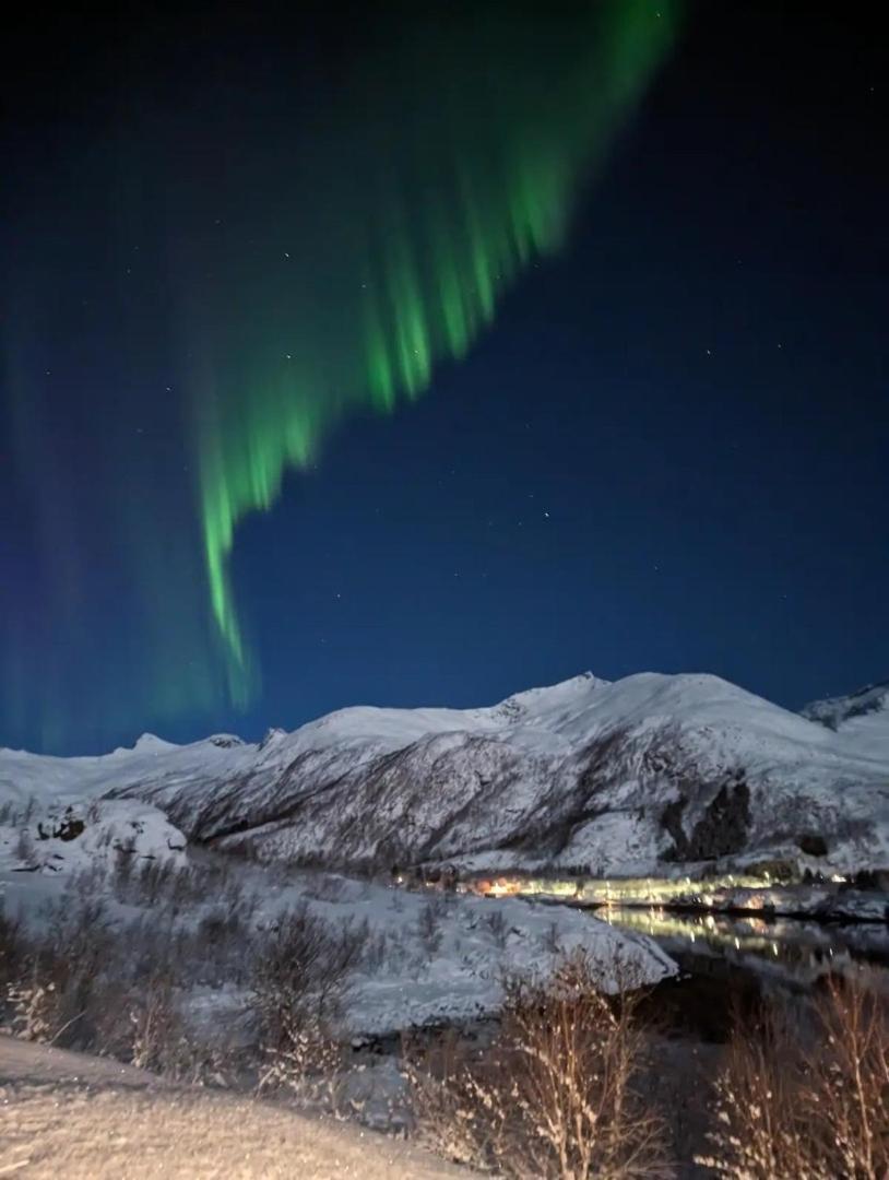 Nydelig Hytte Med Fantastisk Beliggenhet Ved Sjoen Laupstad Exterior foto