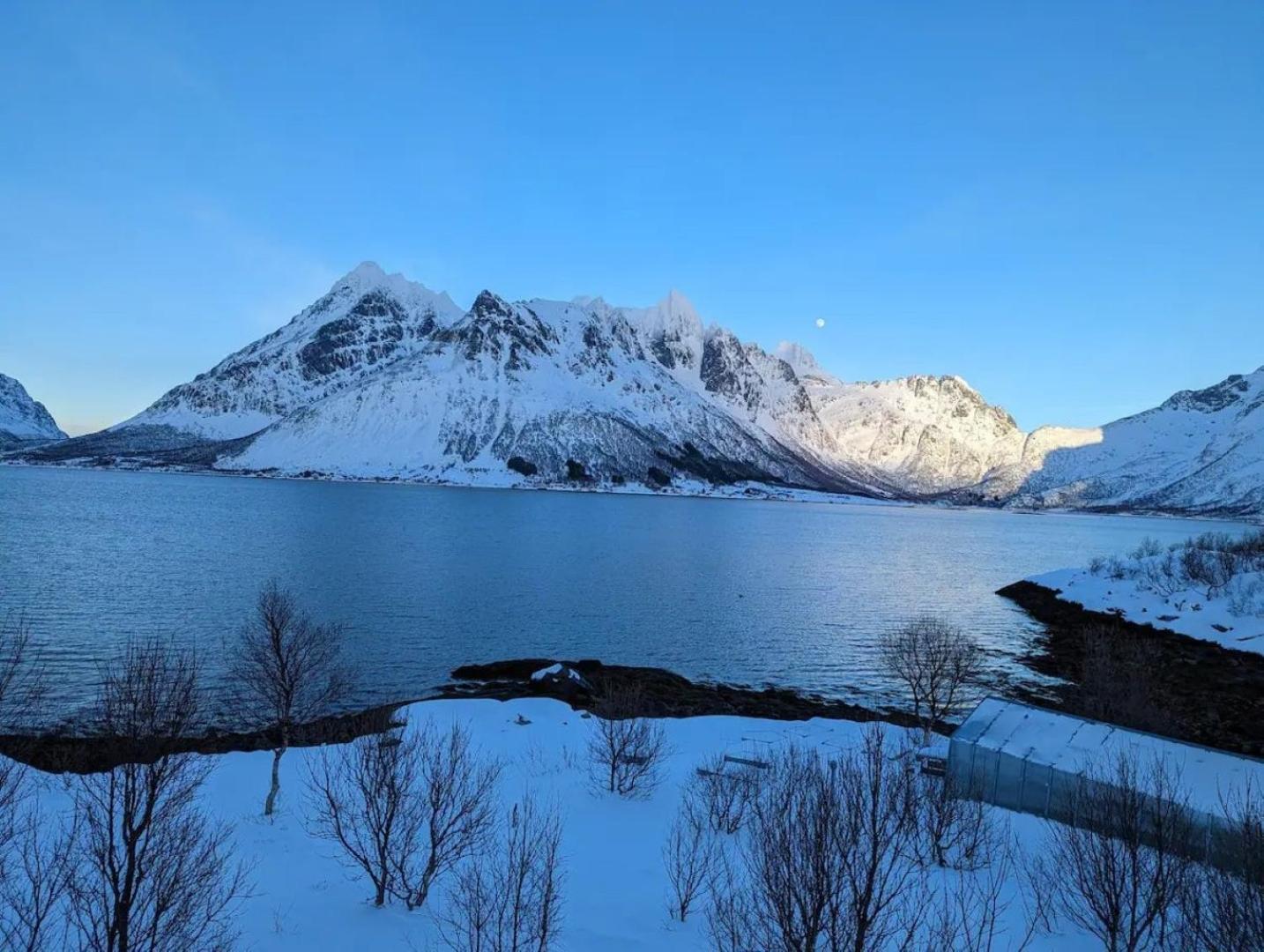 Nydelig Hytte Med Fantastisk Beliggenhet Ved Sjoen Laupstad Exterior foto
